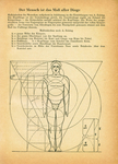  1955-lutterloh-book-sewing-patterns-10-638 (504x700, 294Kb)