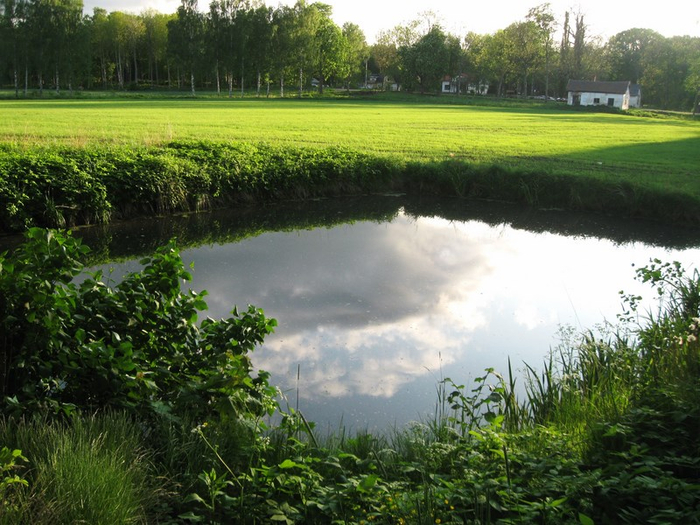 � spring 041 (700x525, 433Kb)