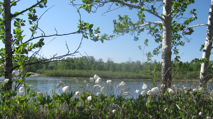 IMG_7771 (700x392, 464Kb)