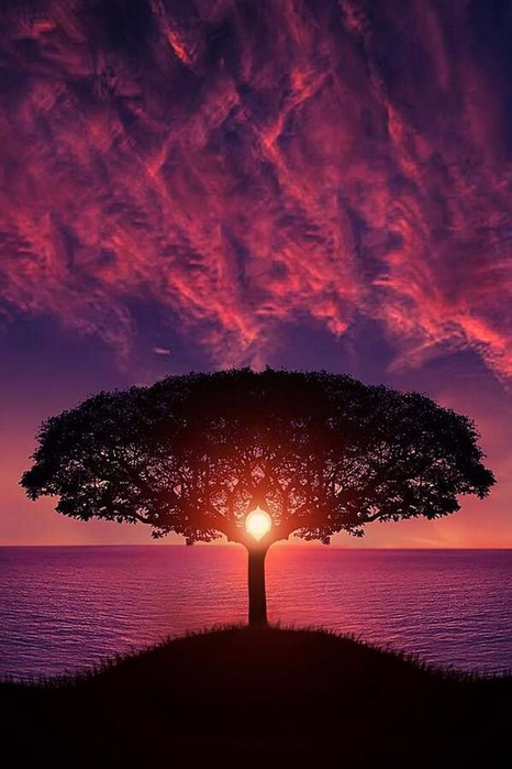 808c0faeff1173563adb93d4162d6a0f (466x700, 297Kb)