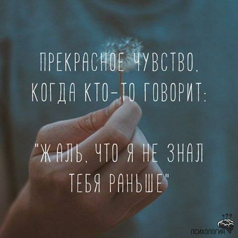 . . 19511211_1925621747710668_1673509059889536702_n (480x480, 28Kb)