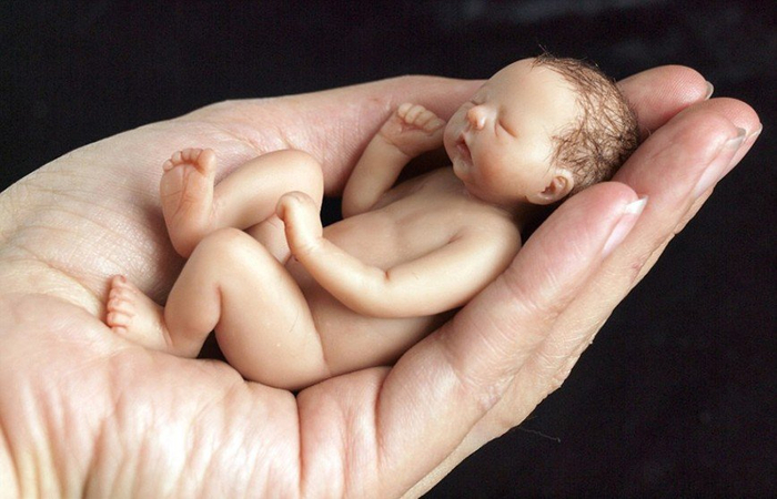 lifelike-miniature-baby-sculptures-camille-allen-1-4_4187467690648411 (700x450, 300Kb)