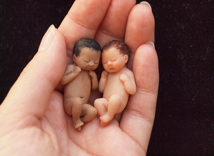 lifelike-miniature-baby-sculptures-camille-allen-1-9_4187940695649516 (700x512, 329Kb)