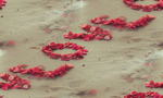  love-romantic-sweet-petals (700x420, 291Kb)