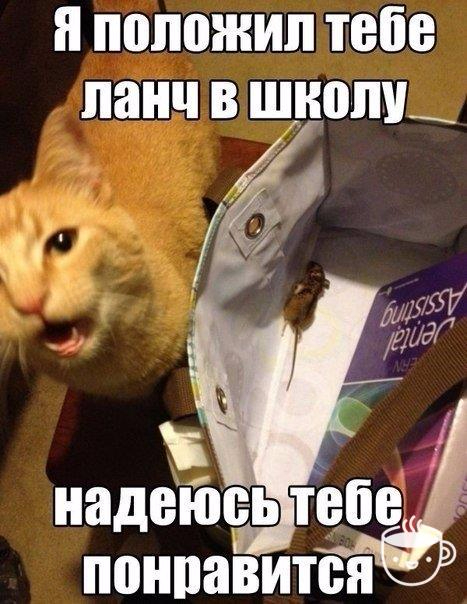 270yVAnbPic (467x604, 274Kb)