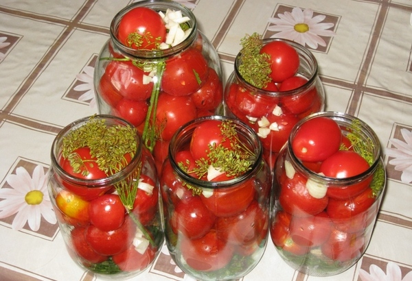 pomidory-prosto-klass-po-domashnemu (600x410, 285Kb)