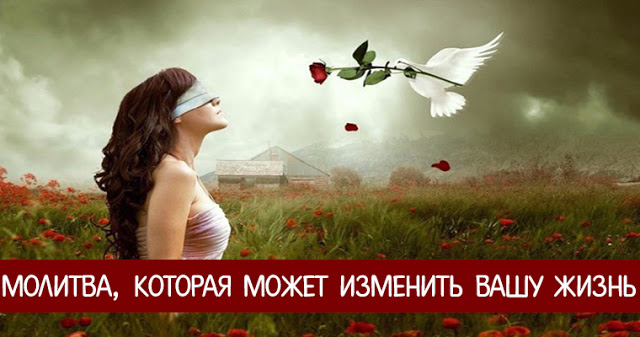 tumblr_npmioy716w1uonfnzo1_1280 (640x337, 62Kb)