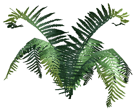 22969640 (441x352, 887Kb)