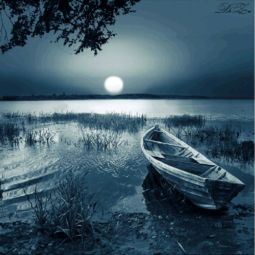 0_1a402f_9152173d_orig (500x500, 2618Kb)