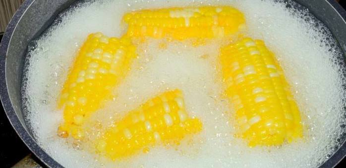 corn (700x339, 30Kb)