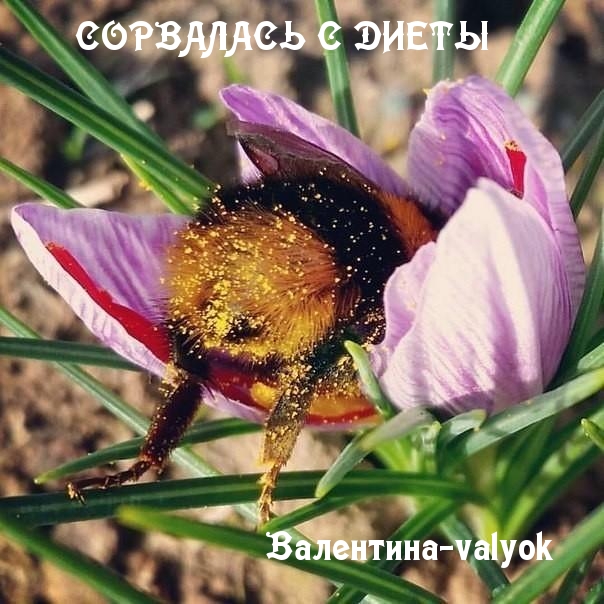 bwYIw23RASM -   (604x604, 210Kb)