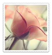 beautiful-flower-girly-pink-pretty-Favim (180x192, 48Kb)