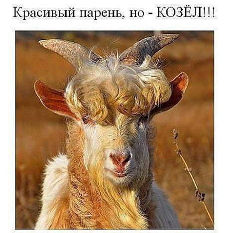 1  (480x468, 354Kb)