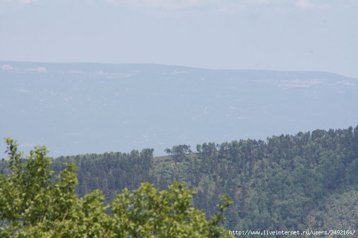 IMG_3350 (700x466, 211Kb)