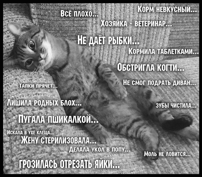 kBdVtWmINVo (700x613, 128Kb)