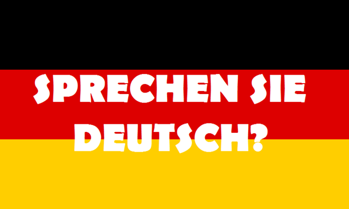 5284814_1adeutschland (700x420, 24Kb)