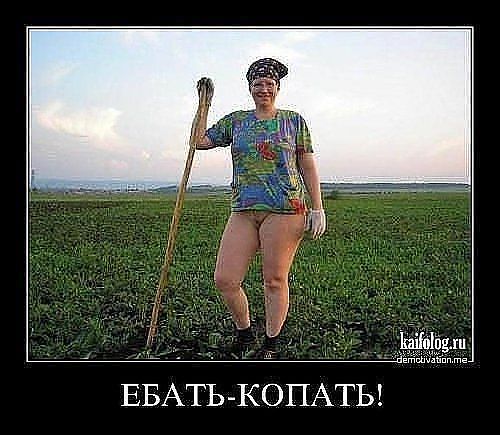 image (22) (500x435, 39Kb)