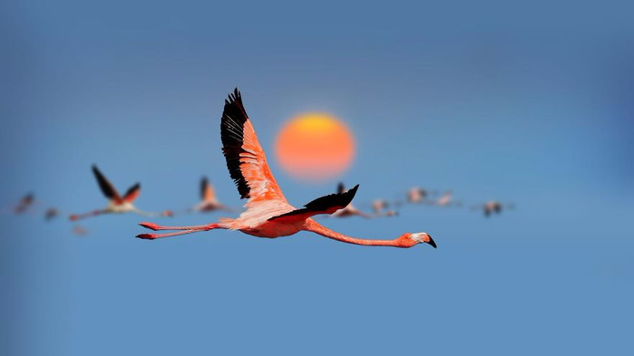 23 (700x393, 89Kb)
