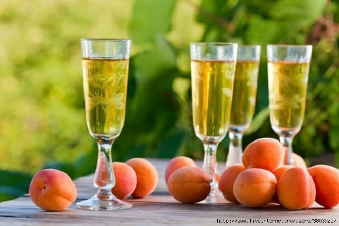 apricot-wine (700x466, 201Kb)