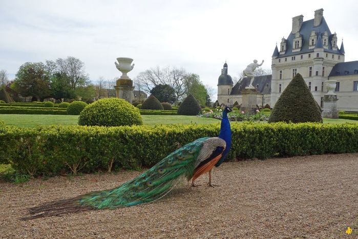 2016.04.14A-Chateau-de-Valencay-17 (700x466, 78Kb)