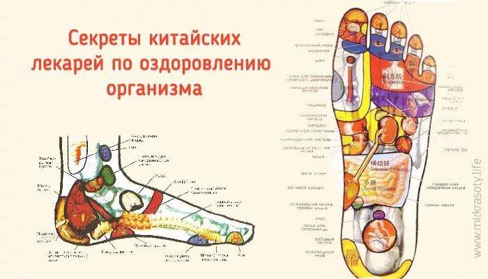 Точки на ногах отвечающие за органы фото с надписями