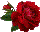 55640464_1267032470_R0XCKSCAEE0T5TCAEFEJ8KCAXH52RHCA9K3N8WCA70N8GRCA24QAQ0CAVPR2J3CA3TLXNXCATY86PKCA29IO8ZCAA83N27CAP7EJDECAGD644UCA49HTGJCA8YT8BRCAR538UVCA3ORKFACAM5PTM6 (40x32, 1Kb)