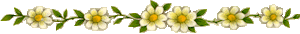 3596969_63008093_49963334_25035220_24148266_fleur42 (300x34, 6Kb)