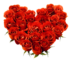 rose_PNG642 (280x244, 97Kb)