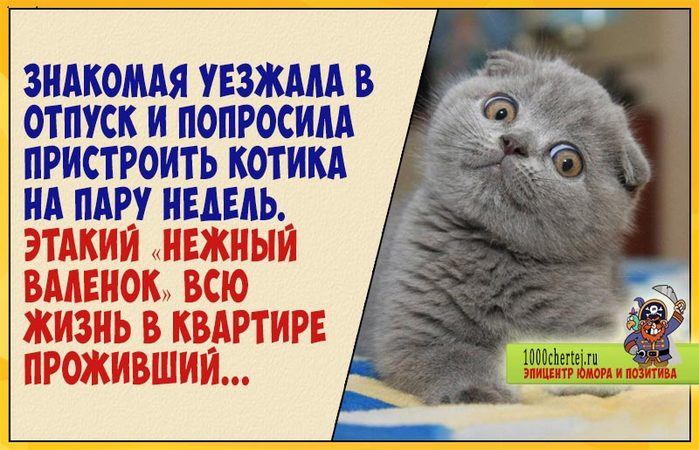         (700x450, 80Kb)