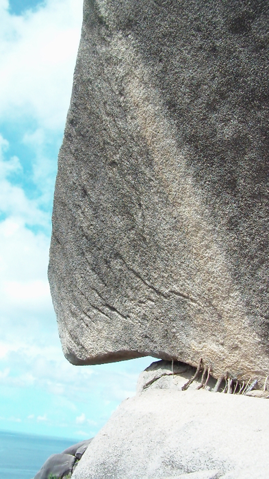 SAM_2202 (393x700, 376Kb)