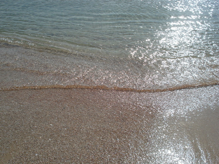 DSC08886 (700x525, 189Kb)