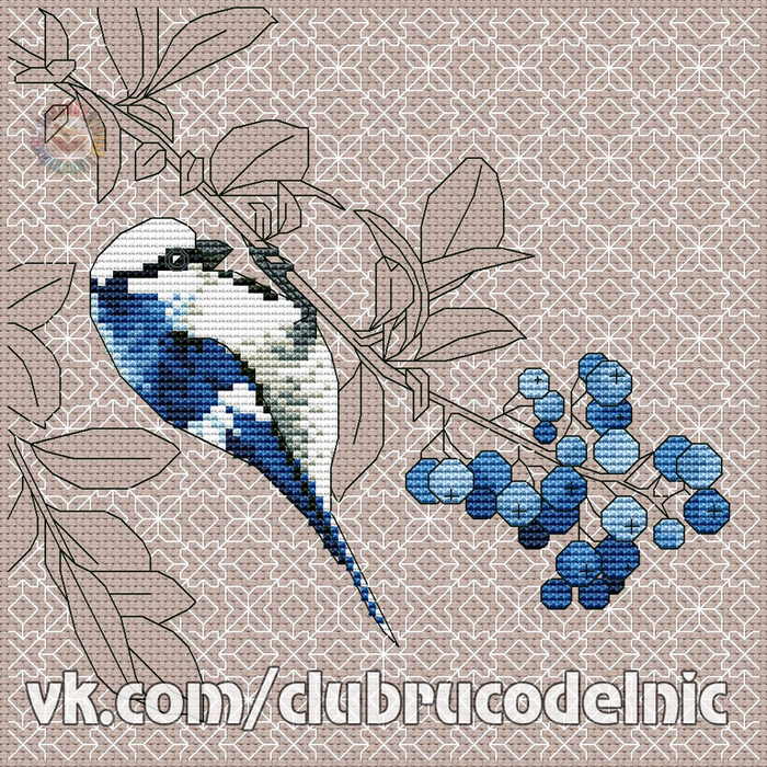 Azure Tit and Blueberries (700x700, 815Kb)