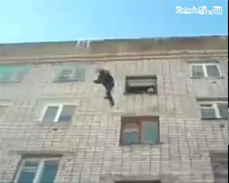 video_458745_0 (450x360, 29Kb)