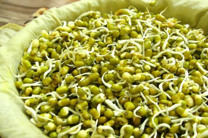 Sprout-Mung-Beans-Step-9-1024x768-2_result (700x466, 75Kb)