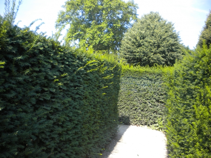 4752699_ve_737 (700x525, 349Kb)