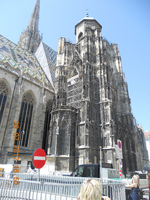 DSCN6442 (525x700, 527Kb)