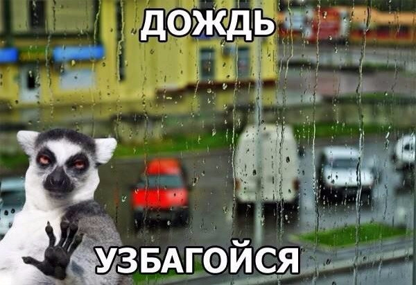 1466155811_ap5e9zrzeea (600x411, 221Kb)