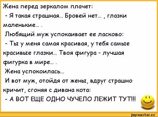 анекдоты-анекдоты-про-семью-анекдоты-про-жен-и-мужей-274729 (508x378, 139Kb)
