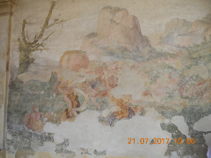 DSCN6540 (700x525, 466Kb)