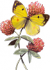 5143471-thumb (72x100, 16Kb)
