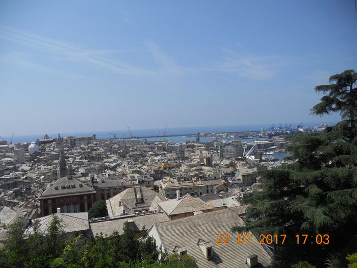 DSCN6587 (700x525, 472Kb)