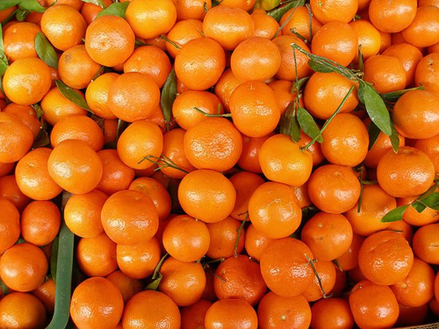 1503402008_mandarin_record (640x480, 87Kb)