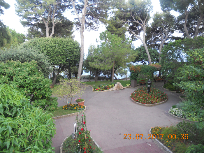 DSCN6624 (700x525, 611Kb)