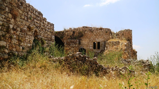 IMG_6134 a (640x360, 318Kb)