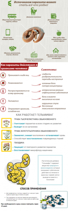 Выведение паразитов из организма. Паразиты в организме человека профилактика. Схема очистки организма от паразитов. Препараты для выведения паразитов из организма.