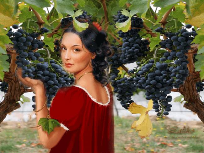 104389016_439409795 (650x487, 53Kb)