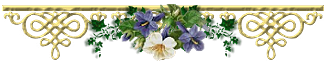 47293514_IN095 (330x64, 38Kb)