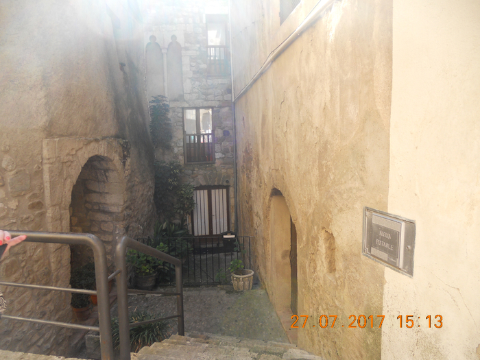 DSCN6810 (700x525, 423Kb)