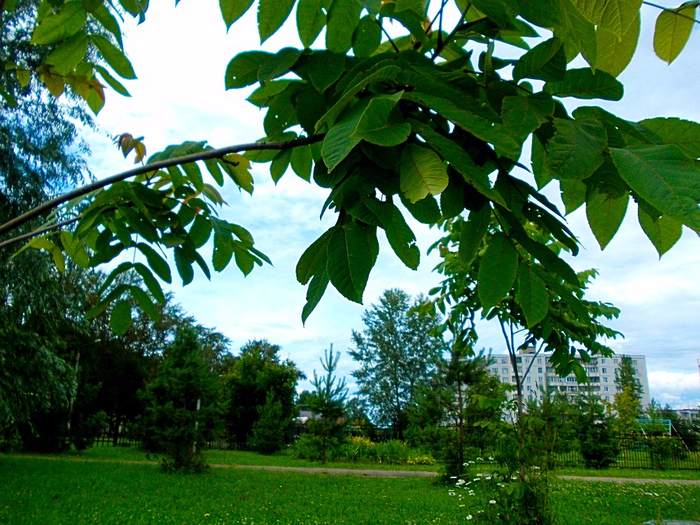 editor_1500565585_INRMwzyp (700x525, 565Kb)