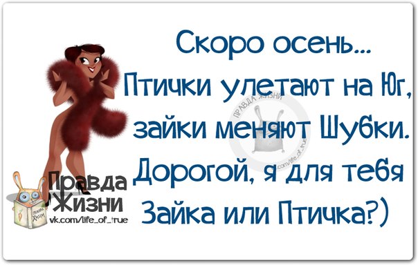 5672049_1408991092_frazki2 (604x384, 51Kb)